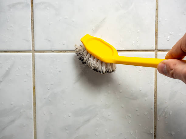 Best Emergency Mold Removal  in Fairmont City, IL