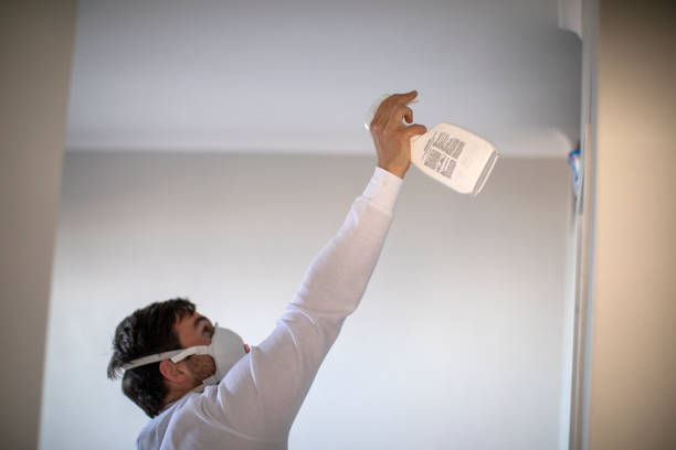 Professional Mold Removal in Fairmont City, IL